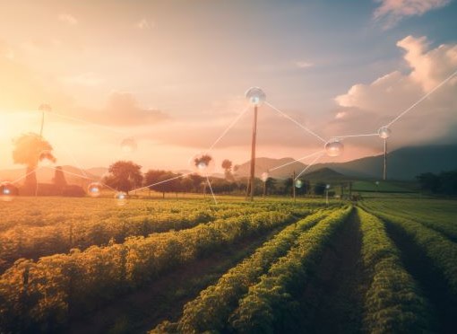 Toopi, the French biotech planning to set up in Wallonia